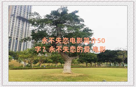 永不失恋电影简介50字？永不失恋的爱 电影